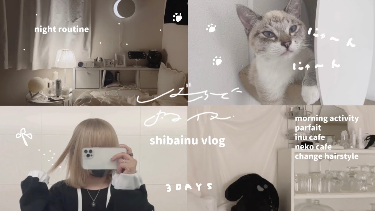 ［ vlog ］わたしに癒しを補充する3日間｜ユニクロフラワーを飾る｜朝活,ナイトルーティン,犬,猫カフェ巡り