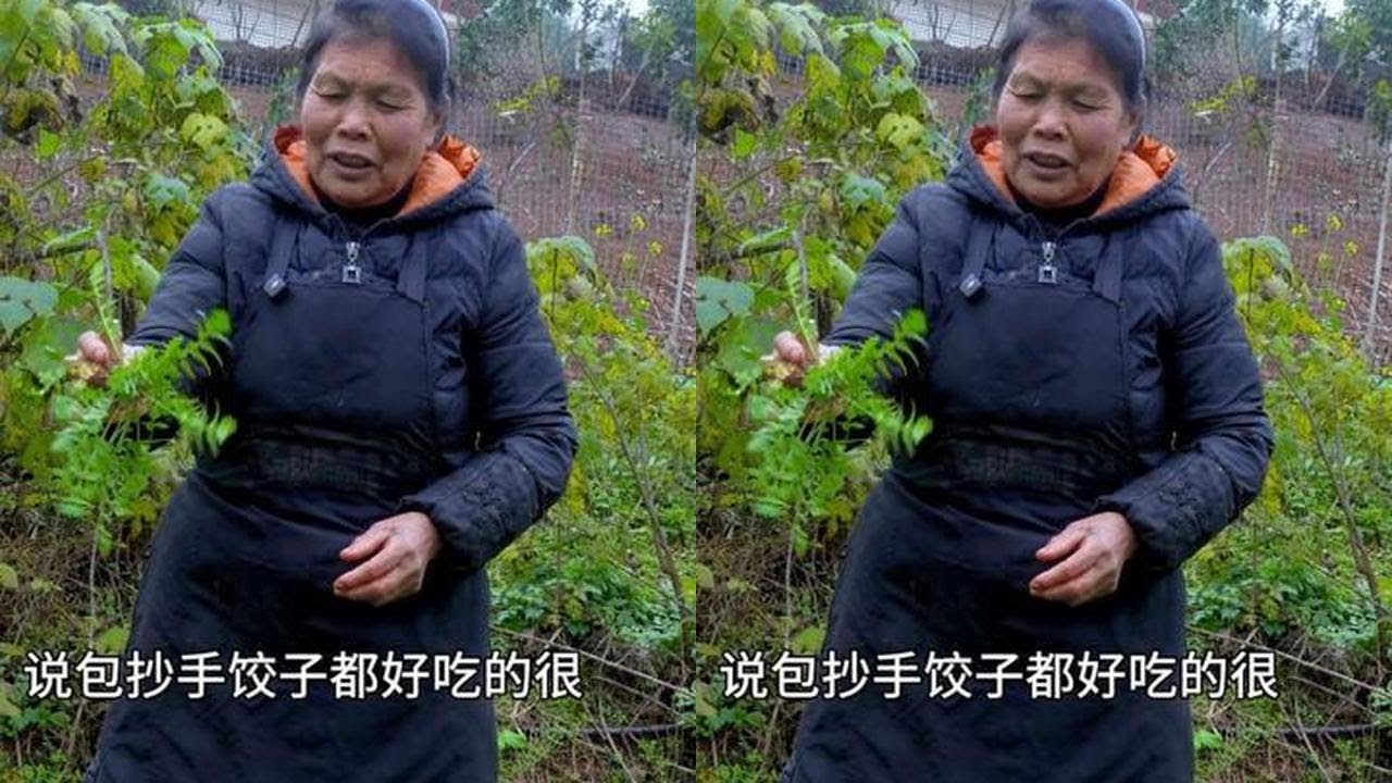 丈母娘地里撬点天然荠菜，再配点自己种的农家菜摆摊，看看生意咋样 #我的农村生活 #摆摊 #便宜好吃的零食