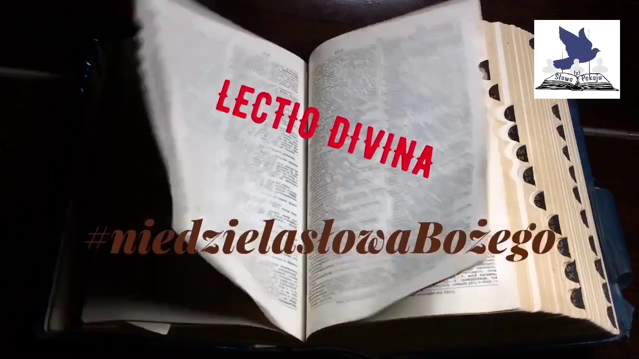 Lectio Divina - Contemplatio - obecność, kt&oacute;ra daje siłę