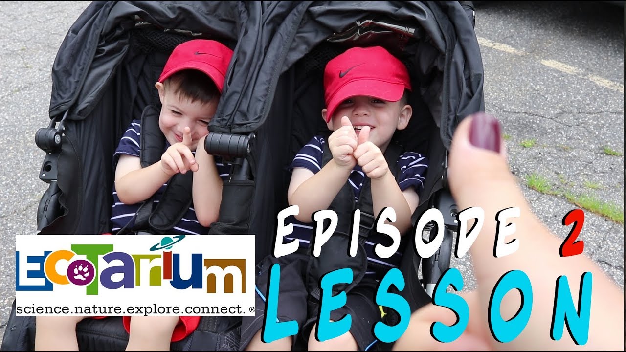Episode 2 (LESSON) A Trip to the Ecotarium | Video 2 of 3 | English with Miss Jill | CC in English