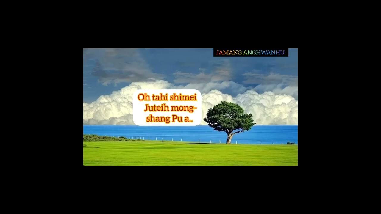 #oldcover lyrics||wangpeng lüm mongme🎵😌