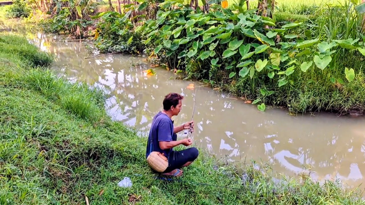 SPOT BARU SEMOGA ULIH IWAK SEKANDI