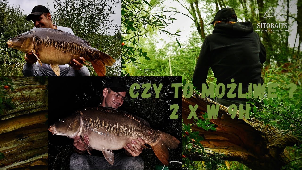 Karpie i Amury z Glinianki PZW - Mój Przyjaciel Łuskacz/