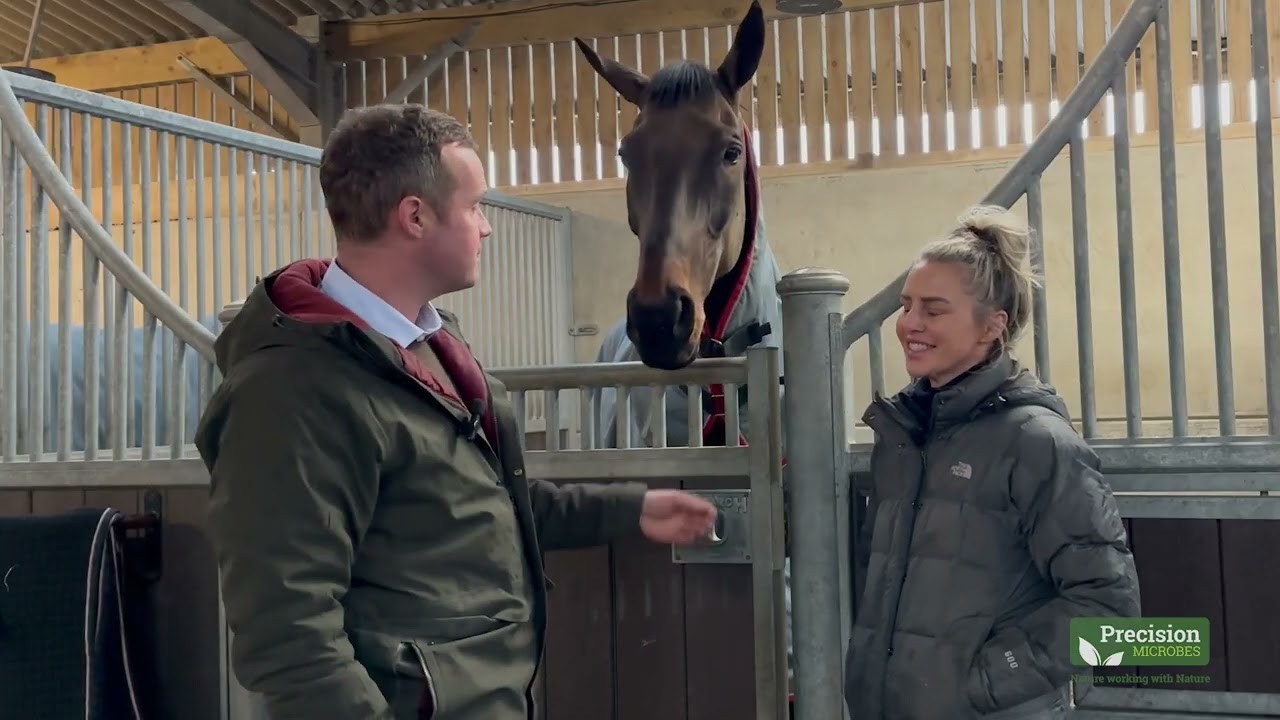 Inside a Top National Hunt Yard 🐎 | Rebecca Curtis Racing