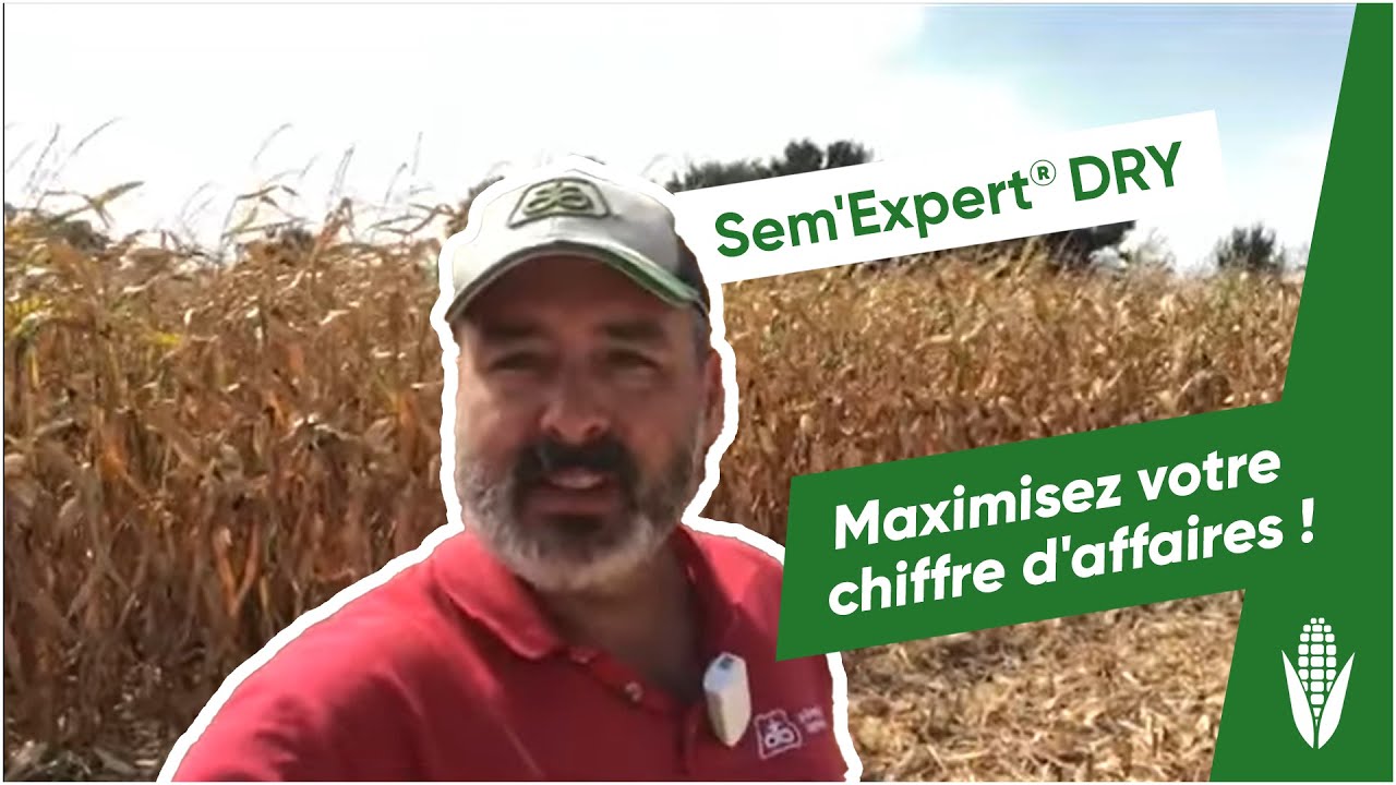 Sem'Expert Dry : maximisez votre chiffre d'affaires !
