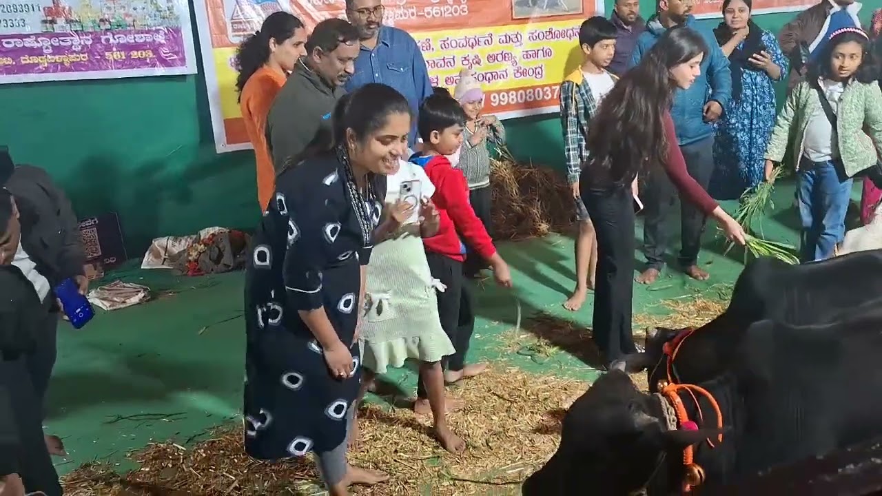 @Mela Mei Ground 