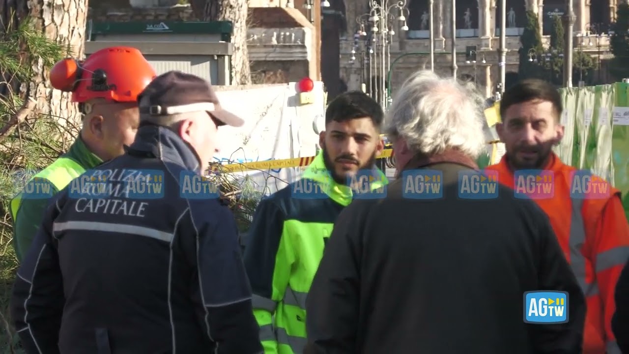 Roma, pino cade ai Fori Imperiali e colpisce alcuni passanti: tre feriti lievi