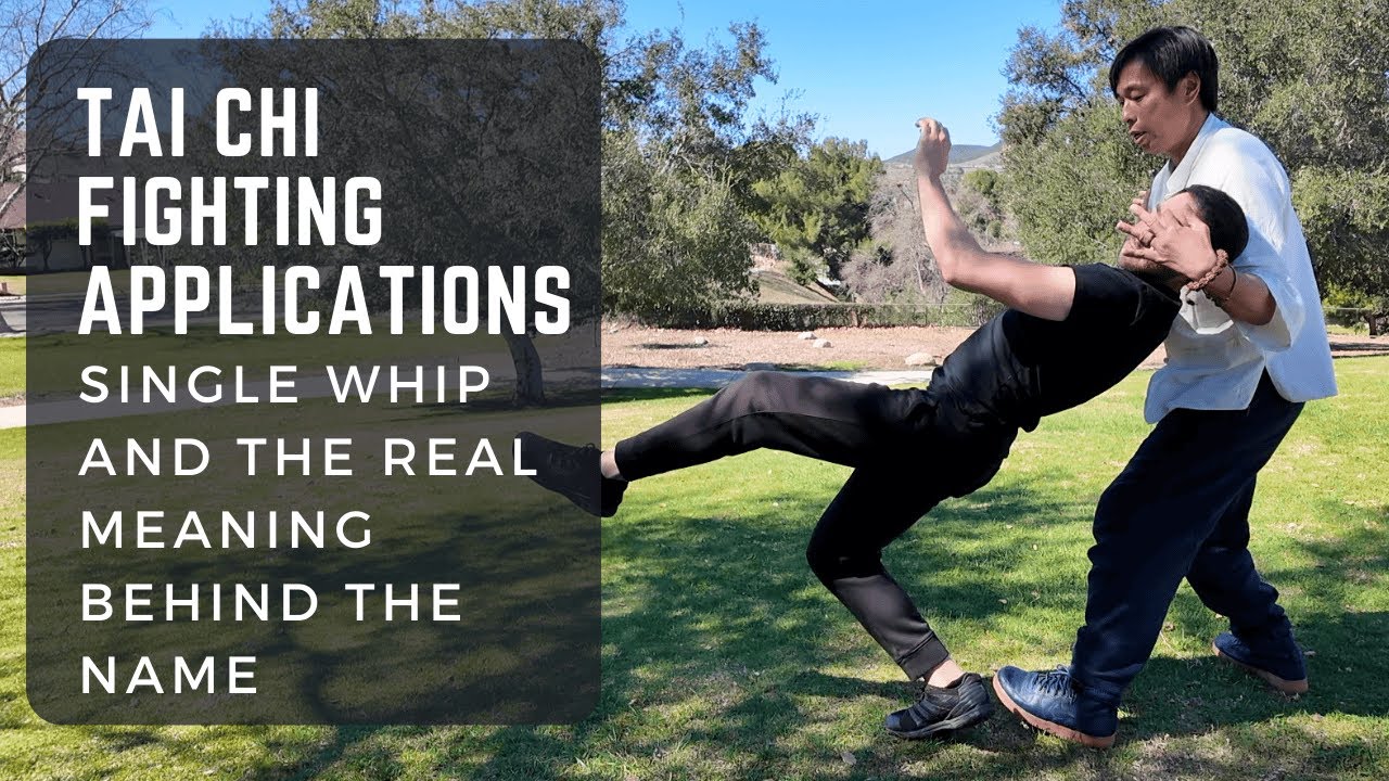 Tai Chi Fighting Application - Single Whip and The Secret of the Whip