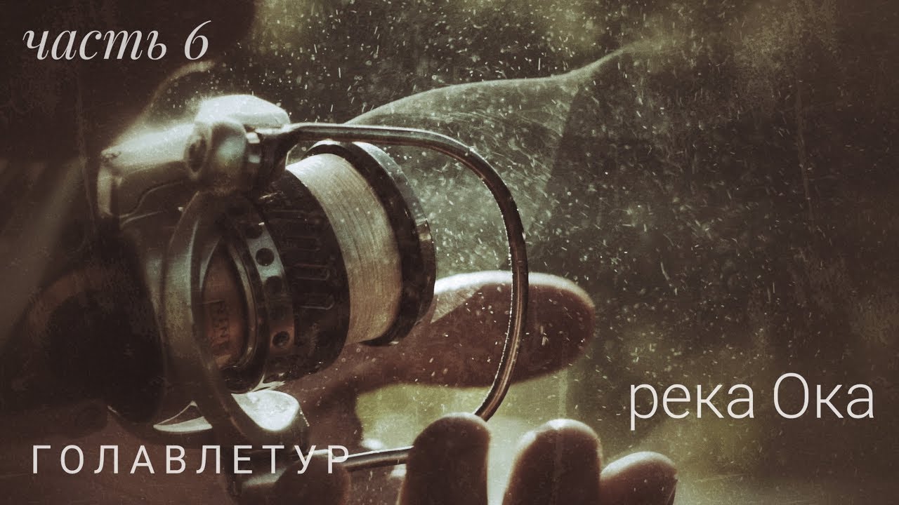 Голавлетур. Ока Тульская.
