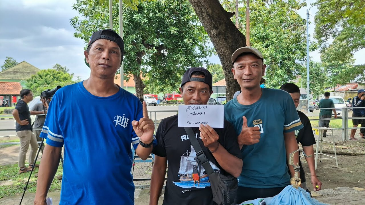 PATRA - TITO ALLIGATOR BF SUSAH DI KALAHKAN DI PJB