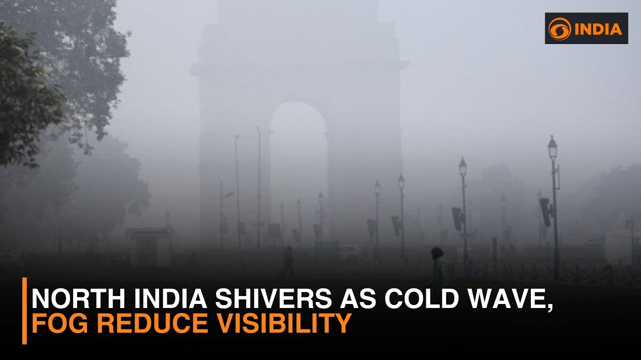 North India Shivers as Cold Wave, Fog Reduce Visibility & more news | DD India Live | 4 PM IST