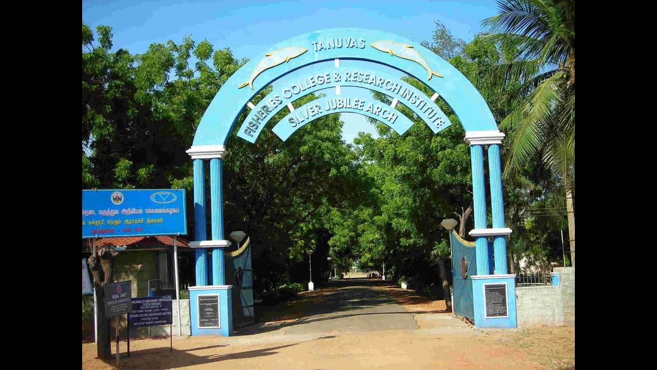 The Important Institutes For Masters In Fisheries Science In India #fisheries #msc #education #phd