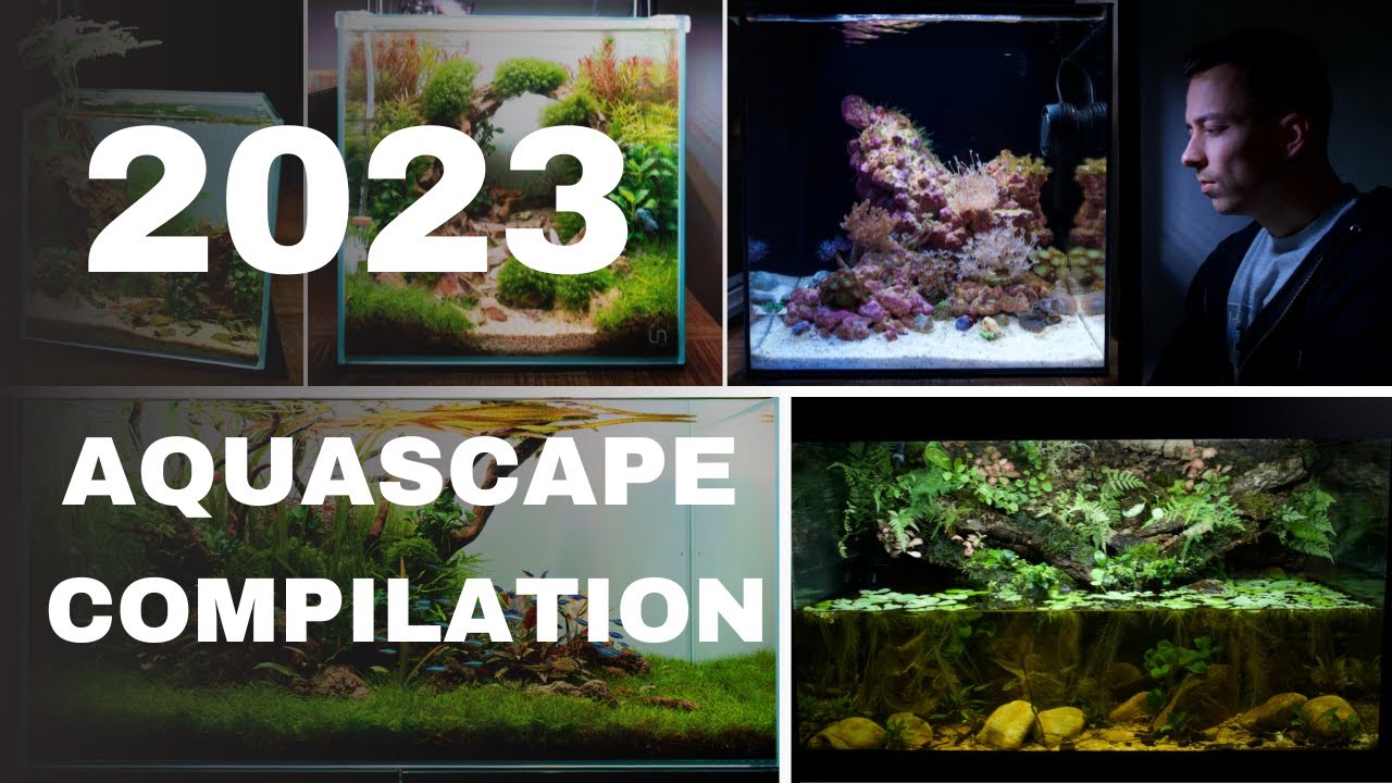 MY TOP 10 BEST AQUARIUM SETUPS FROM 2023! Epic Build Video Compilation