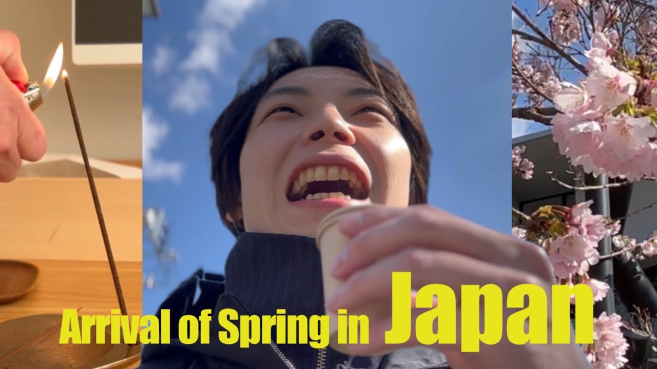 Japan vlog, cherry blossoms, shopping, matcha face packs, cooking dinner, daily life in Japan