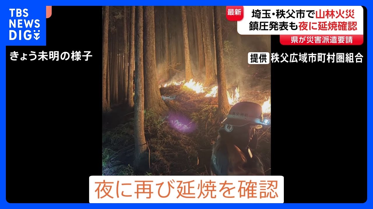 きのう鎮圧も夜に再び延焼　埼玉・秩父市の山林火災「集落の上のあたりから火が発生したような」 自衛隊に災害派遣要請｜TBS NEWS DIG