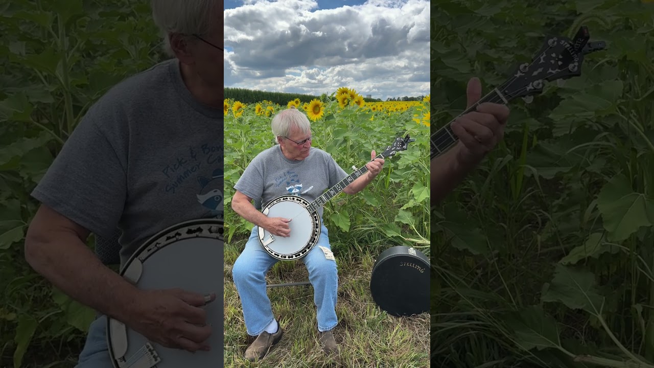 Vintage 1982 Stelling Sunflower banjo demo IN A SUNFLOWER FIELD?!? Listen to Geoff Hohwald play