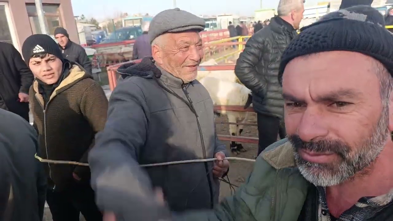 14 Mart Şuhut canlı hayvan pazarı YouTube Kuzucu isa olarak takip Edip abone olabilirsiniz 