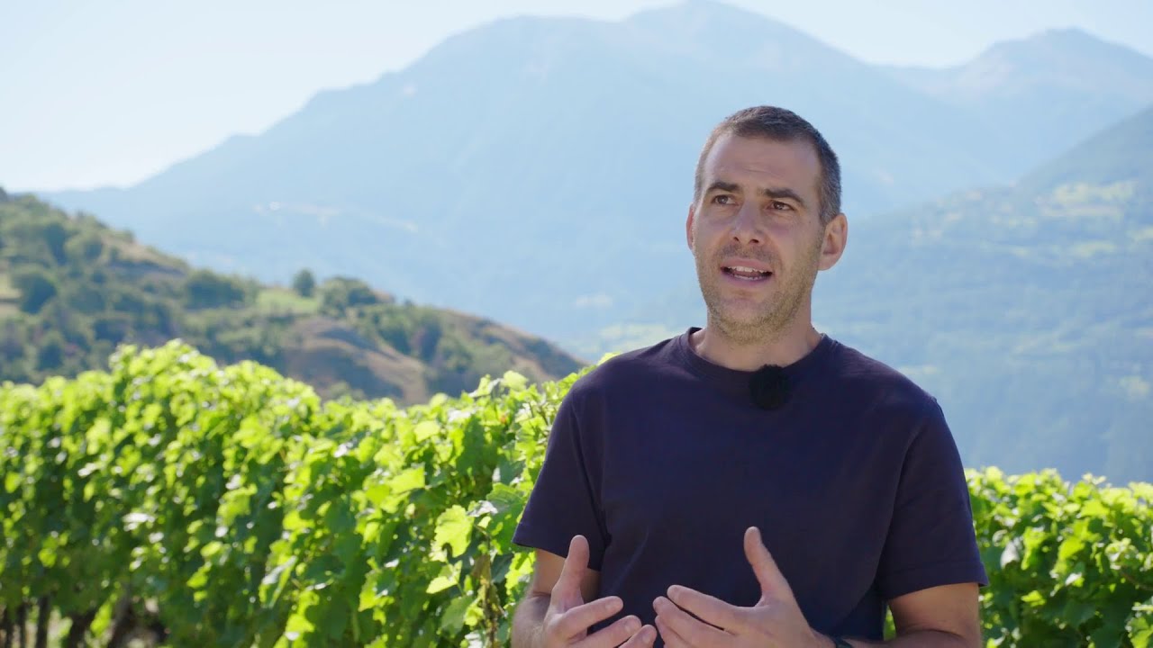 Strat&eacute;gie de protection des plantes &ndash; Viticulture (sous-titres fran&ccedil;ais)