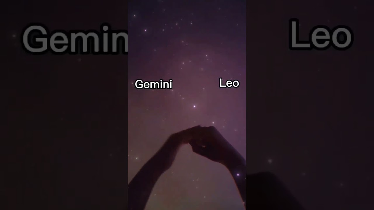 I love Gemini and Leo as best friends 😁❤️