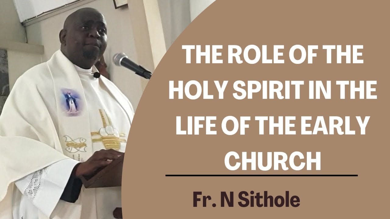 Vuma amandla kaNkulunkulu akusebenzise | Fr. N Sithole  reflects