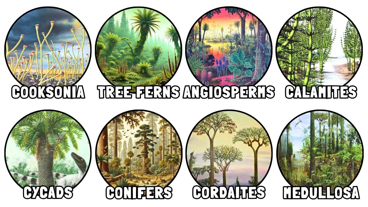 Every BIZARRE Prehistoric Plant EXPLAINED in Detail
