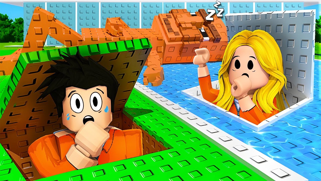CACHE-TOI ! CONSTRUIS ET ÉCHAPPE TOI DES PIRES BRAINROTS DE ROBLOX !!