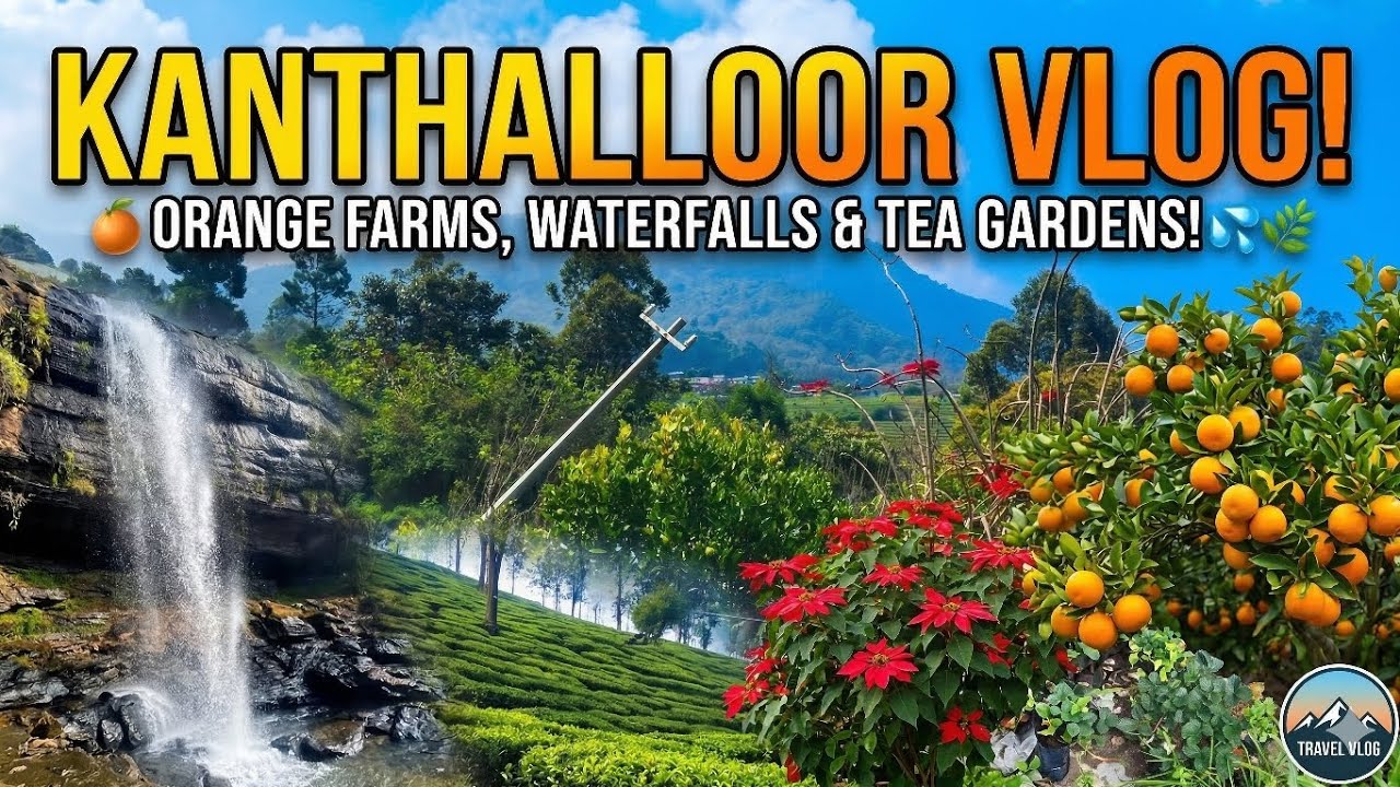 🚗காந்தளூர் #Kanthallor#munnar # udumalaipettai#travel vlog #summer #tourism #best tourist places # 