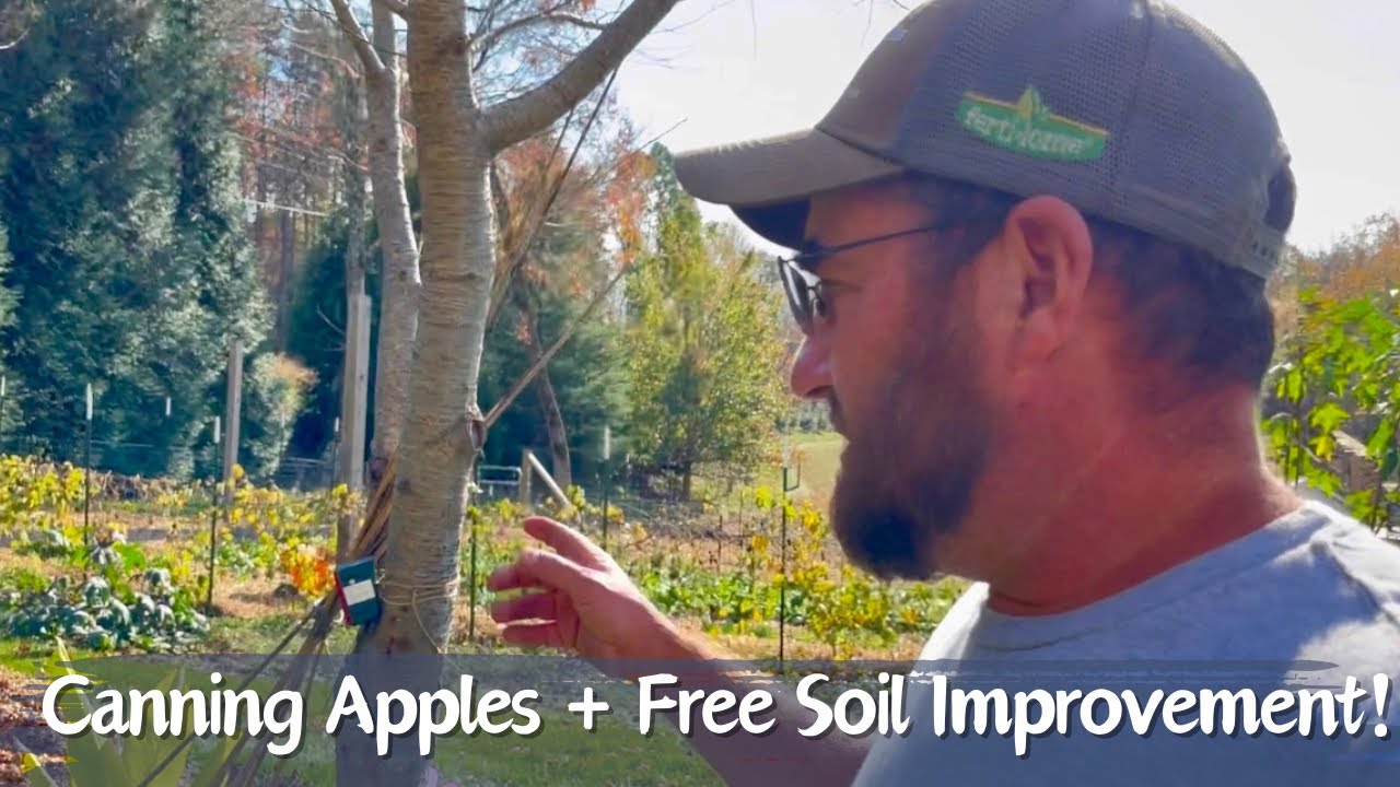 Make Your Garden Great | Homestead Vlog | November 11, 2024
