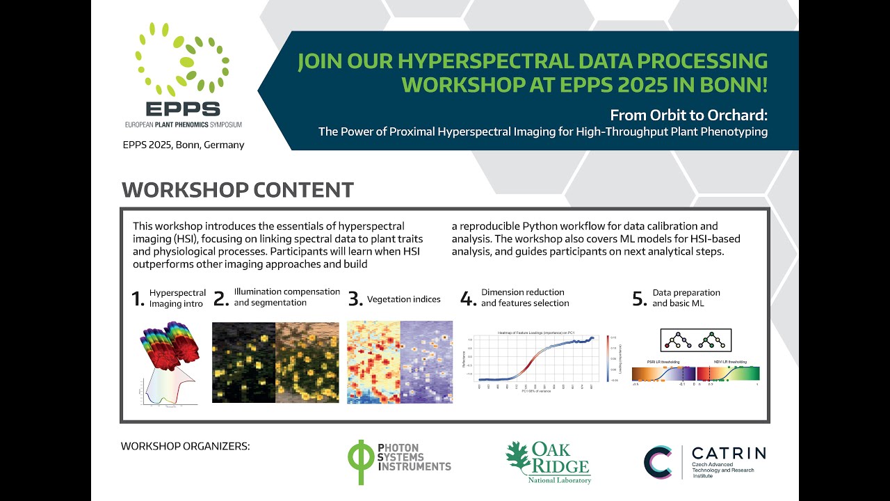 Harnessing Proximal Hyperspectral Imaging for High-Throughput Plant Phenotyping