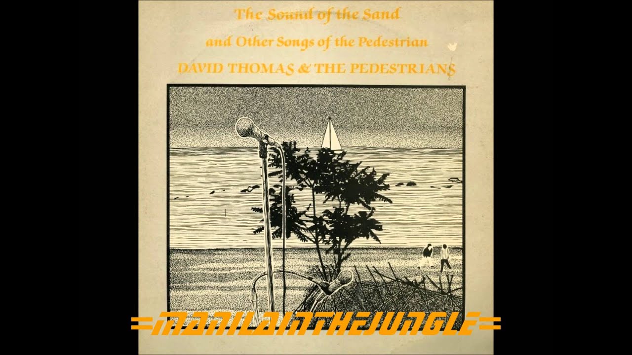 DAVID THOMAS & The PEDESTRIANS - The Crickets In The Flats (1981)