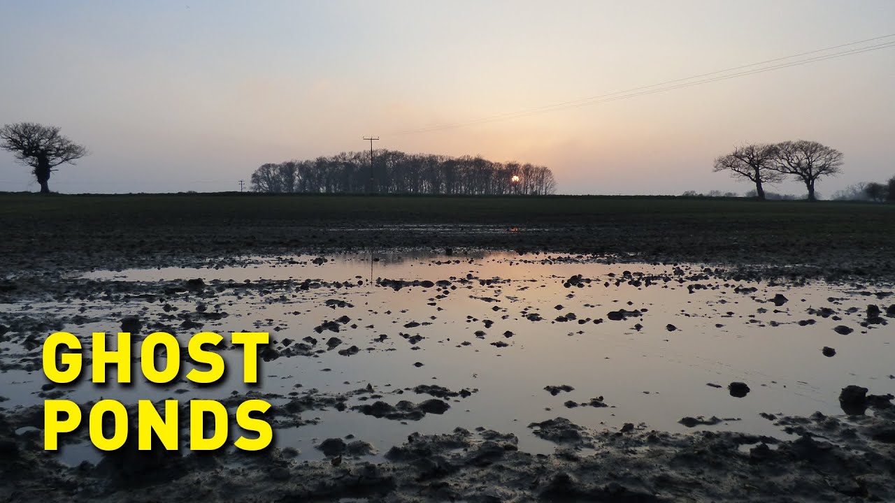 Bringing 'ghost' and 'zombie' ponds back from the dead
