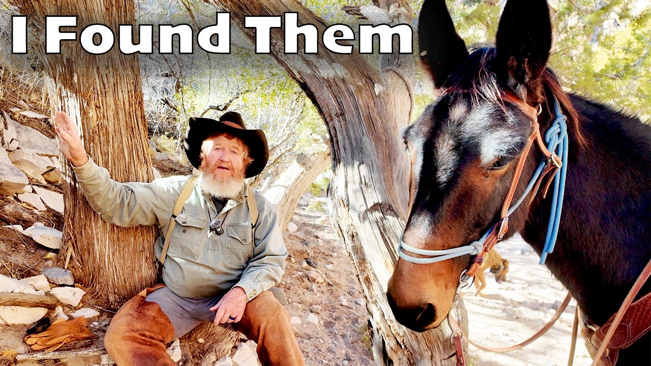 I went and EXPLORED a MYSTERIOUS Canyon