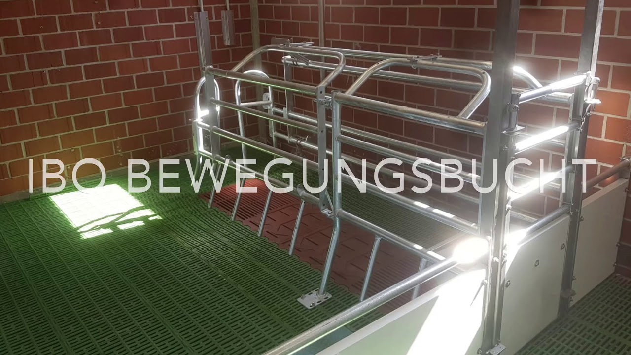 Bewegungsbucht von IBO