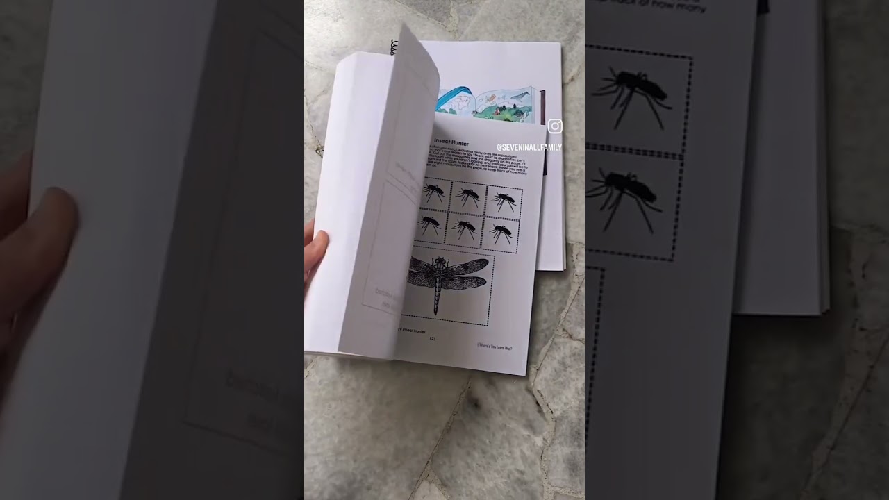 Homeschool Kindergarten Curriculum : The Curious Kinder