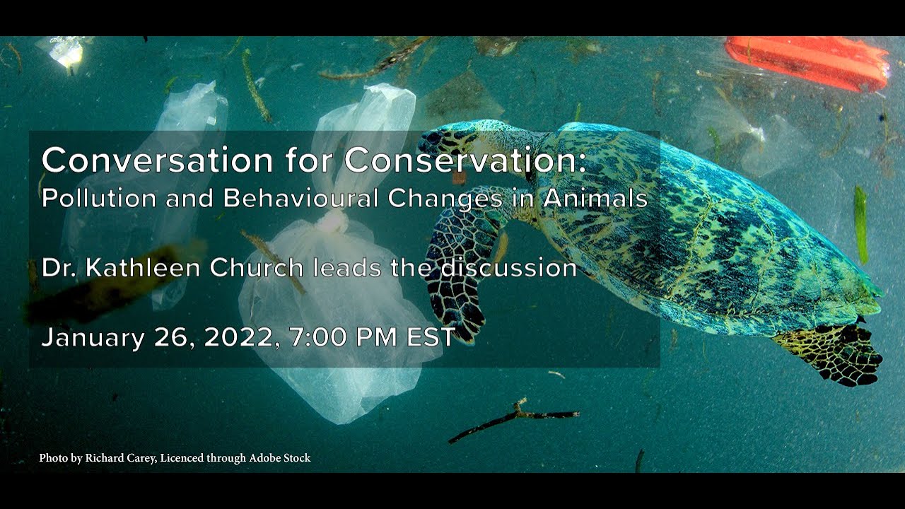 January 2022 Conversation for Conservation - Dr. Kathleen Church on Eating Microplastics
