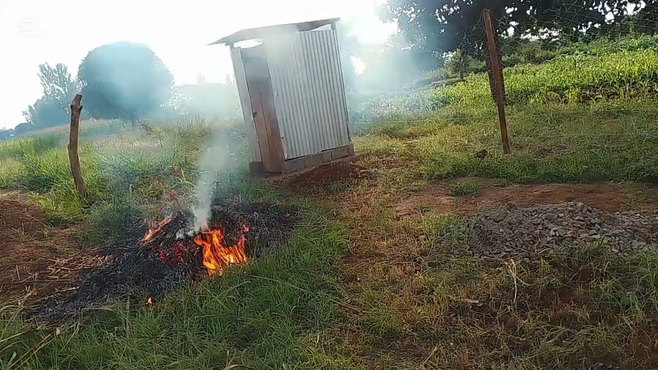 Simple day at home