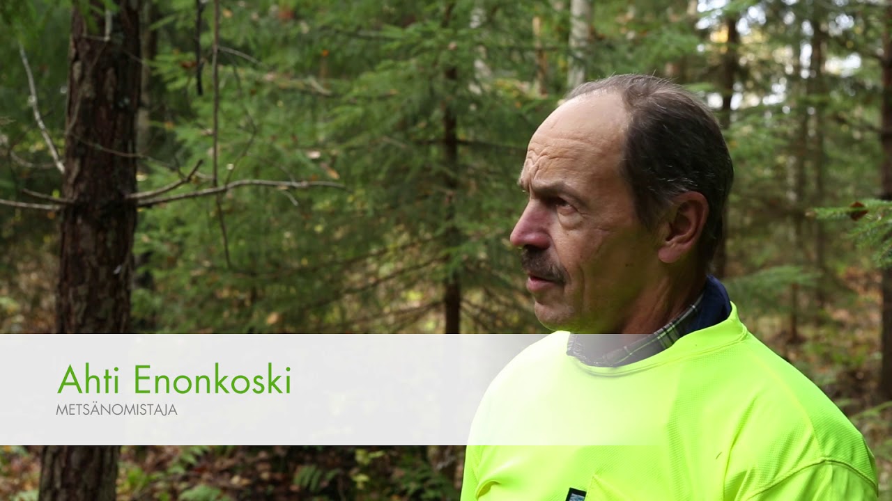 Kokeilijan ja kuntoilijan metsä – metsänomistaja Ahti Enonkoski Juvalta