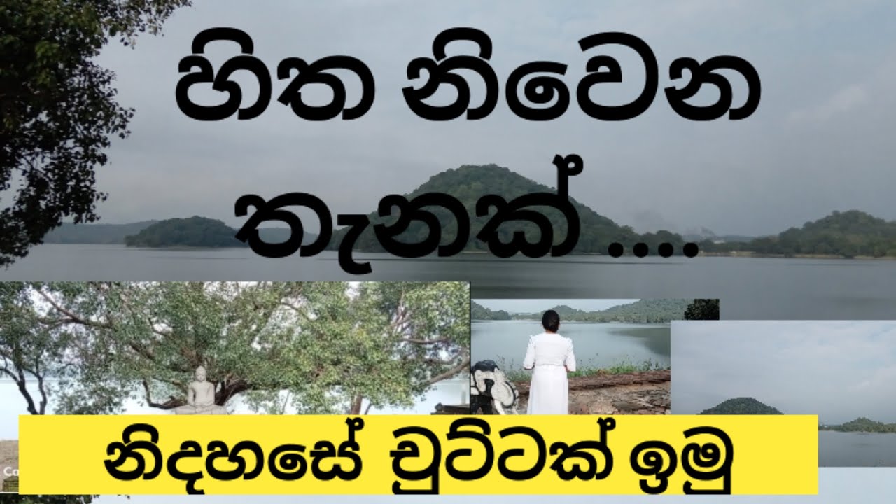 දැක බලා නිදහසේ හිත පහන් කරගෙන යන්න.