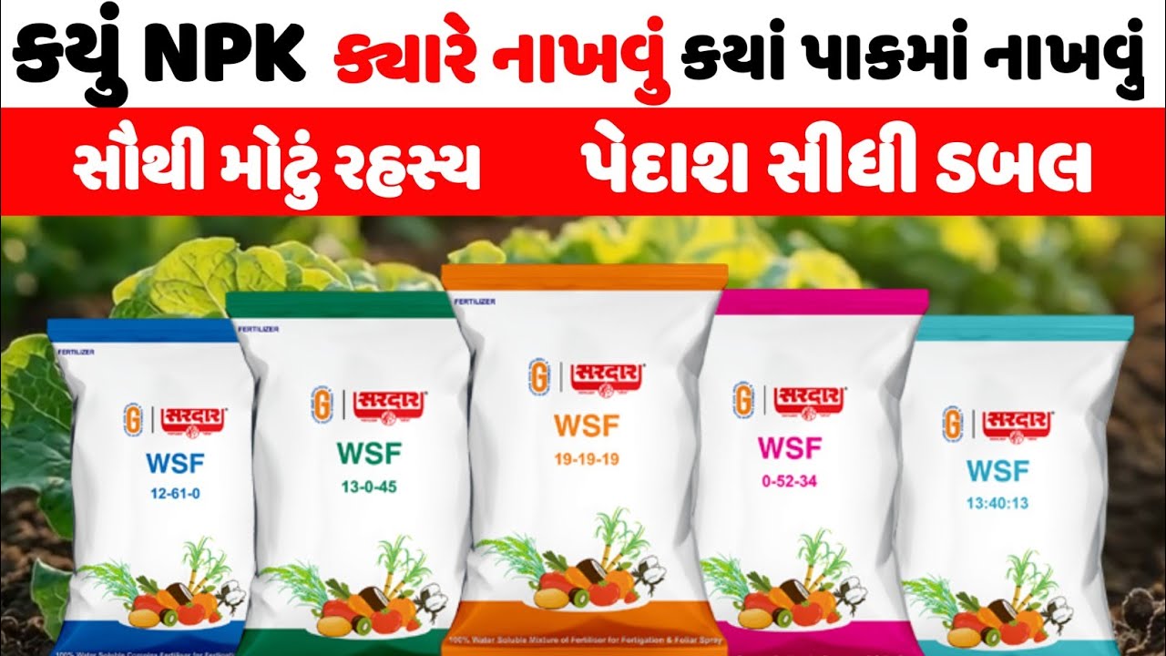 જાણો કયું npk ખાતર ક્યારે નાખવું,૧૯૧૯૧૯,૦૫૨૩૪,૧૩૦૦૪૫ વગેરે વિશે