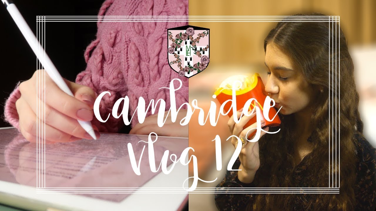 CAMBRIDGE VLOG 12 | LOTS OF WORK & MCDONALD'S