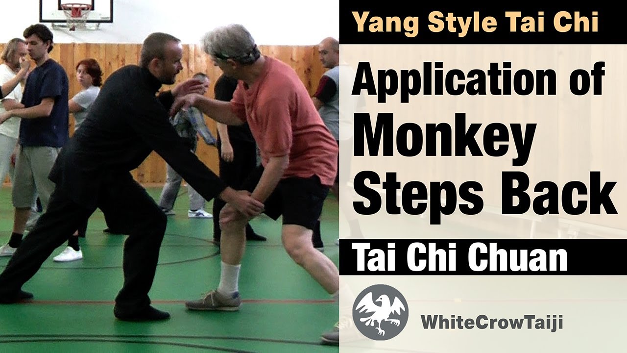 Transition from Fist Under Elbow to Monkey Steps Back