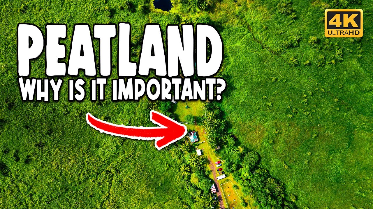 Why A Peatland is So Important? | lifeprinttv | Full Episode [4K]