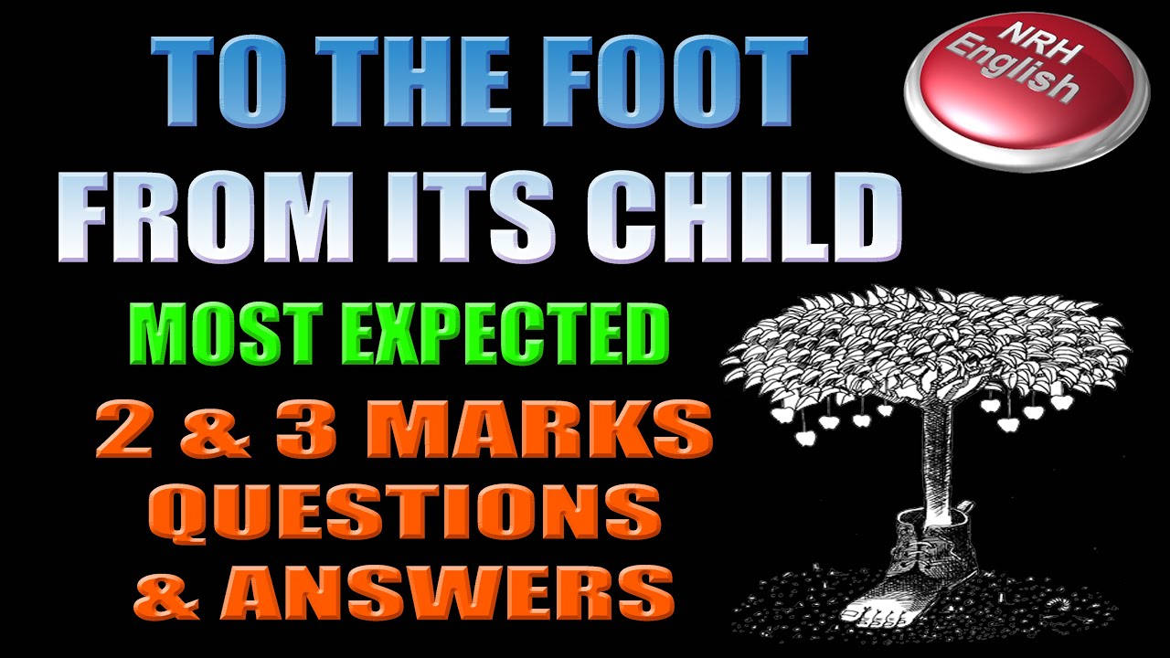 TO THE FOOT FROM ITS CHILD # 2 & 3 marks QUESTIONS & ANSWERS