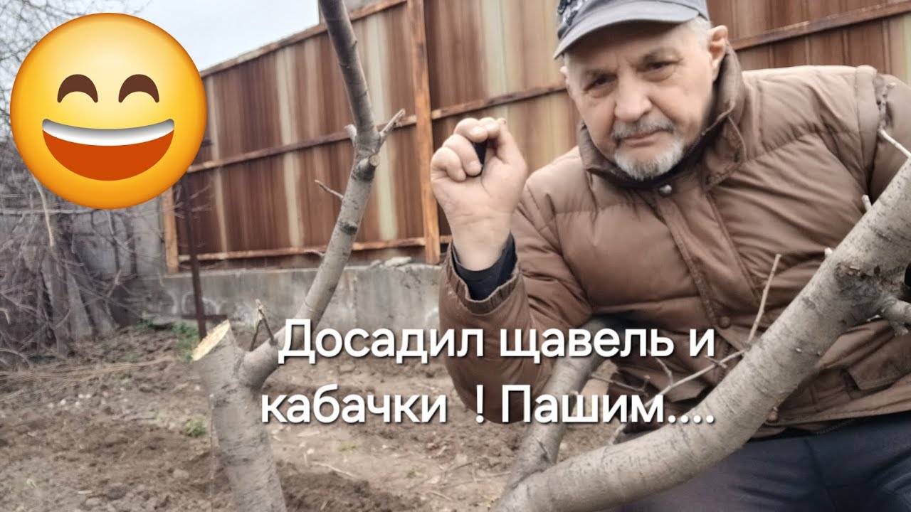 17 марта 2026 г.