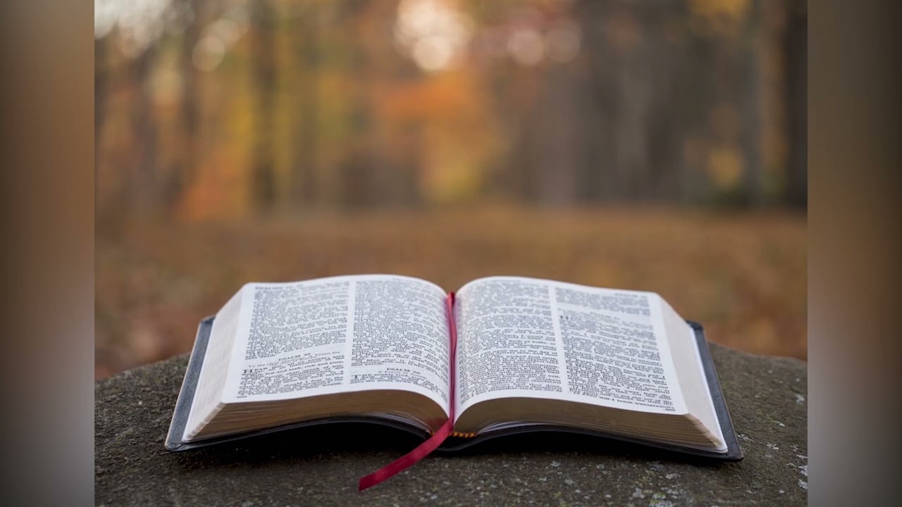 Qayyabannaa Macaafa Qulqulluu KUTAA 2FFAA SEERA UUMAMAA intro  2