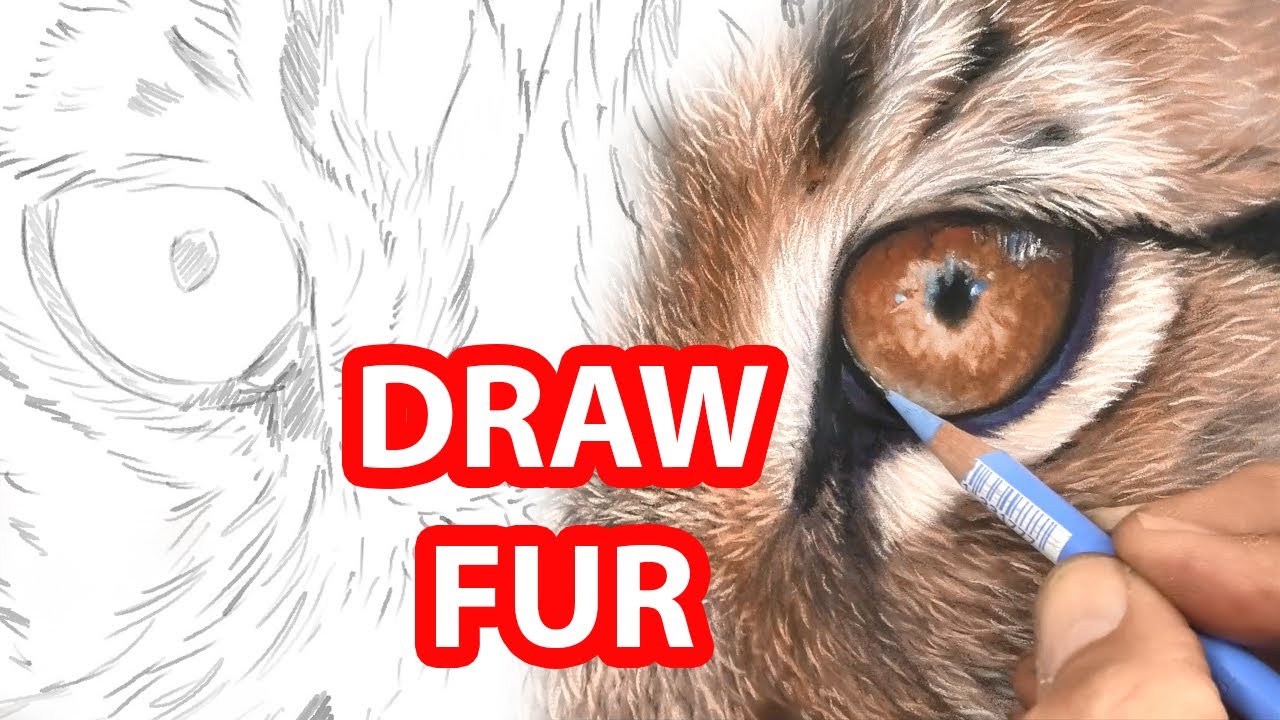 How To DRAW FUR - MUST SEE WILDLIFE ART PASTEL TECHNIQUE - Jason Morgan Art