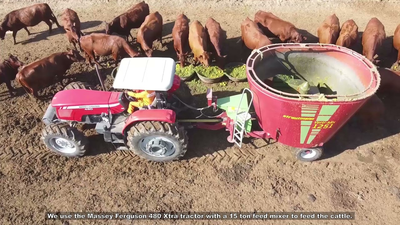 Massey Ferguson | A fleet of 53 MF 240 Xtra at Venter Boerdery | South Africa