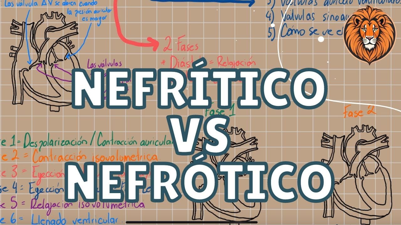 Sindrome NEFRITÍCO vs NEFRÓTICO | Leomedicina