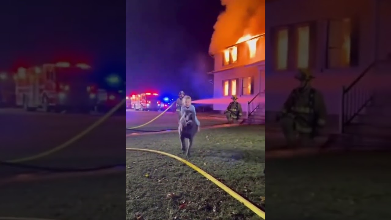 A dog&rsquo;s courage that left firefighters speechless 🔥🐕
