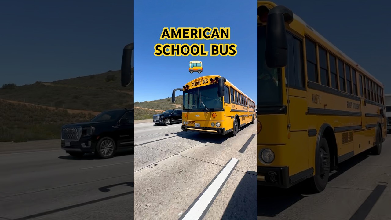 American School Bus 🚌 #school #america